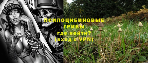 гидра Белокуриха