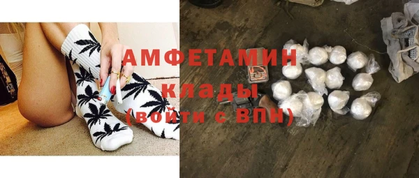 гидра Белокуриха